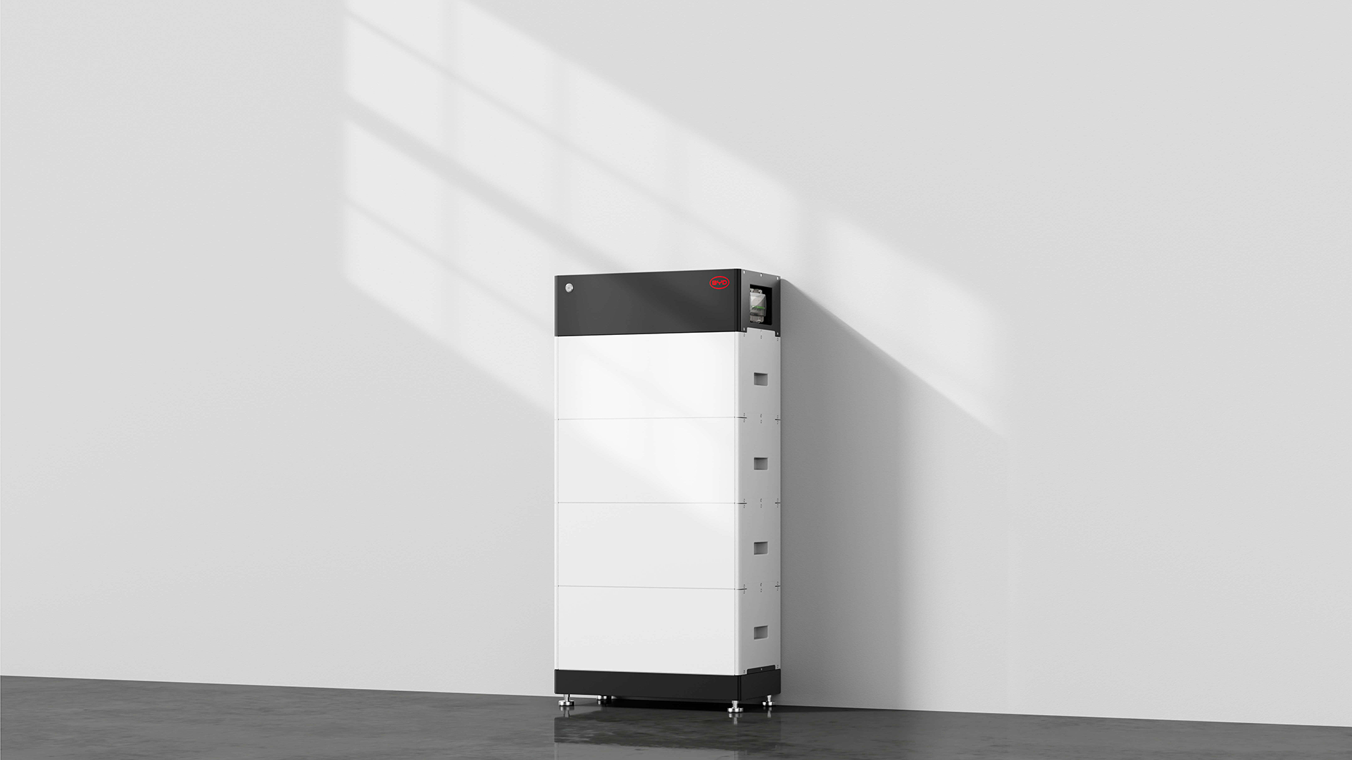 BYD HVM vs. HVS: Der große Unterschied erklärt