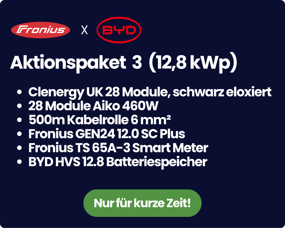 Aktionspaket 3 (12,8 kWp)
